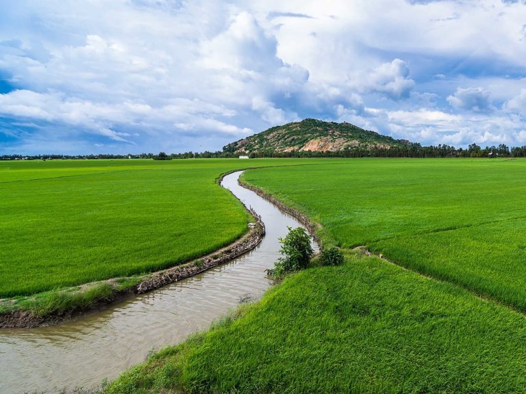 Agriculture Canal